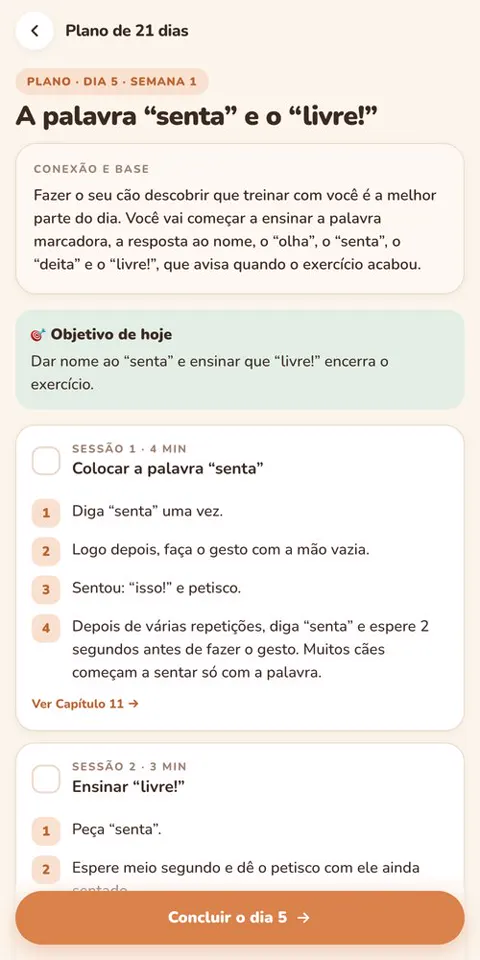 Plano do dia no app